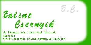 balint csernyik business card